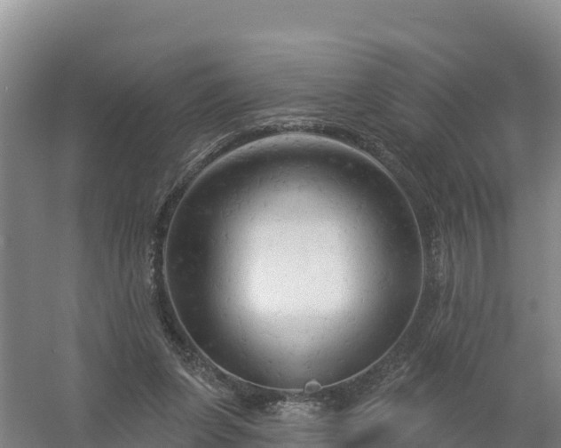 X0000058140255200509302026