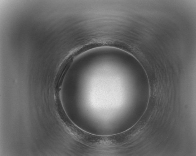 X0000058140256200509302026