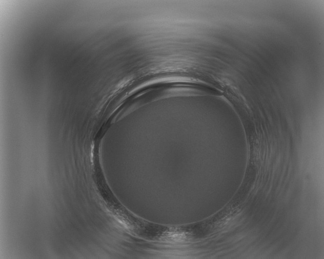 X0000058140260200509302026