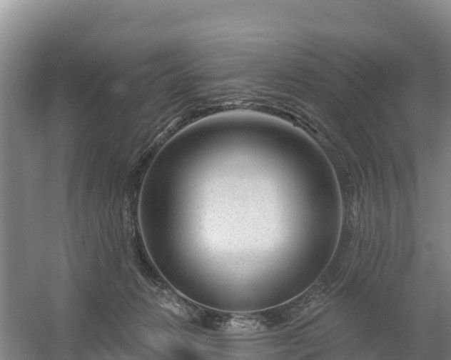 X0000058140270200509302027