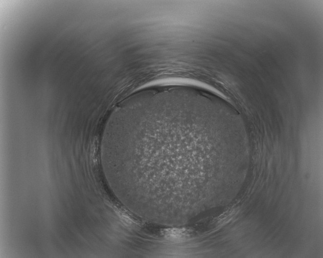 X0000058140273200509302027