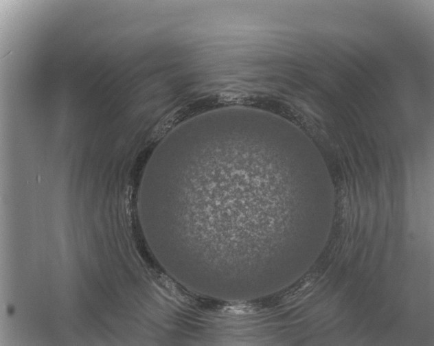 X0000058140275200509302027