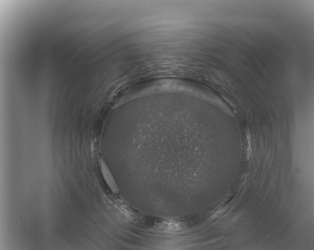 X0000058140276200509302027