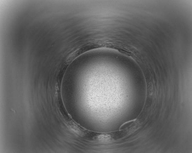 X0000058140279200509302027