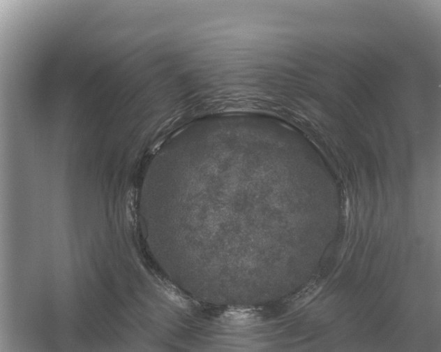 X0000058140280200509302027