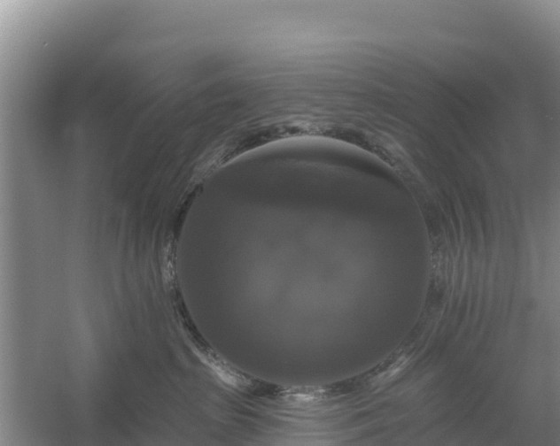 X0000058140285200509302027