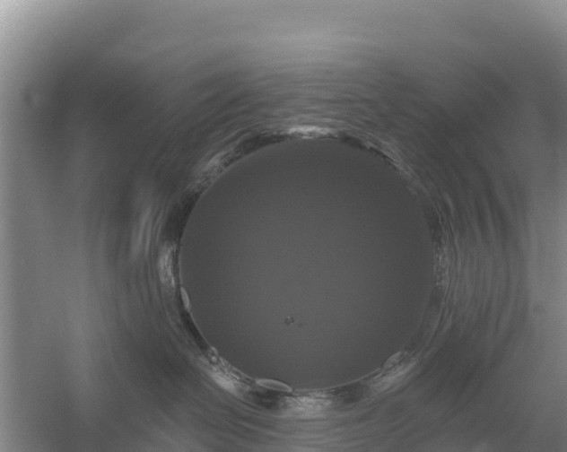 X0000058140286200509302027