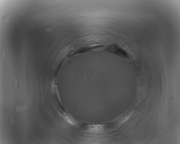 X0000058140288200509302027