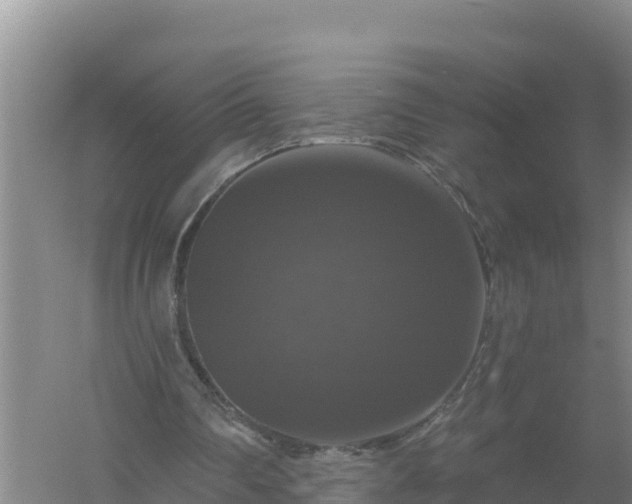 X0000058140290200509302026