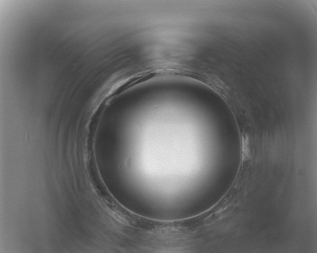 X0000058140291200509302026