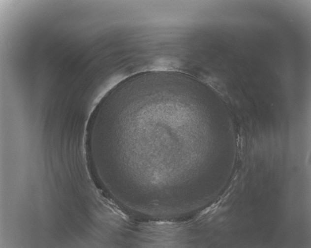 X0000058140292200509302026