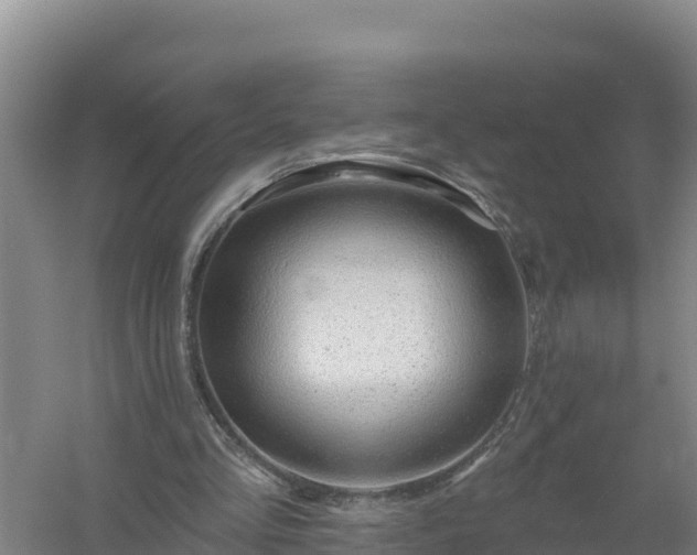 X0000058140293200509302026