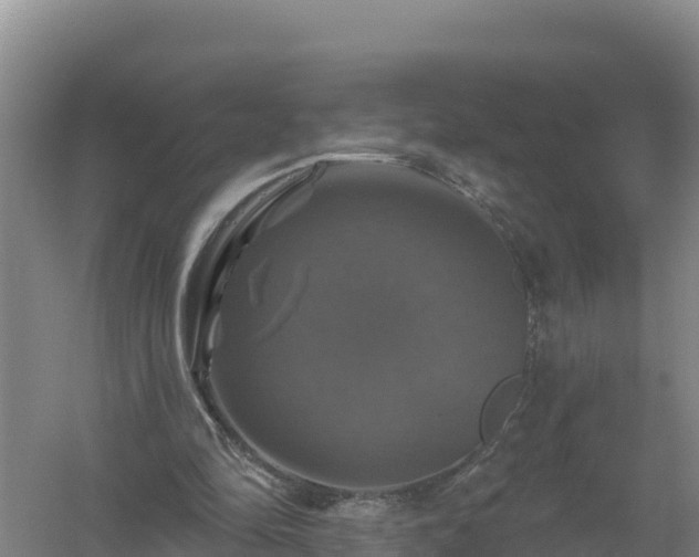 X0000058140294200509302026