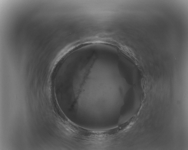 X0000058140295200509302026