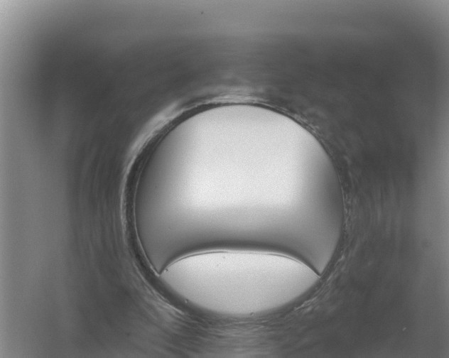 X0000058140296200509302026