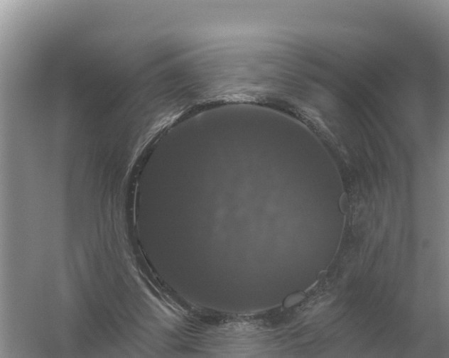 X0000058140299200509302026