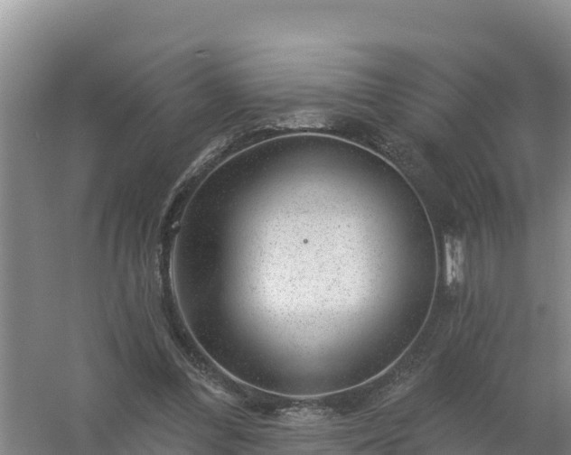 X0000058140300200509302026