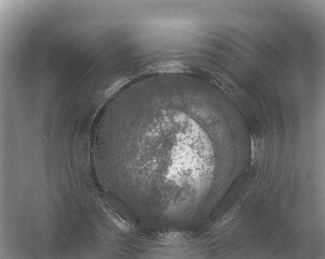 X0000058140301200509302026