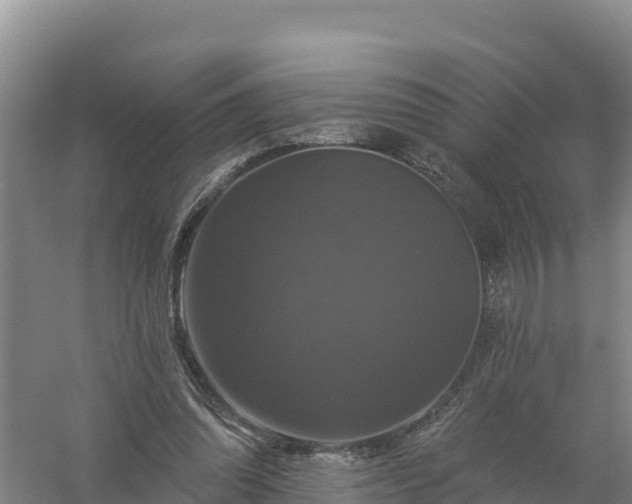 X0000058140302200509302026