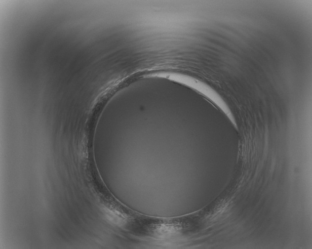 X0000058140303200509302026