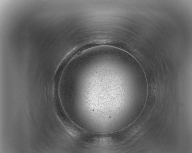 X0000058140304200509302026