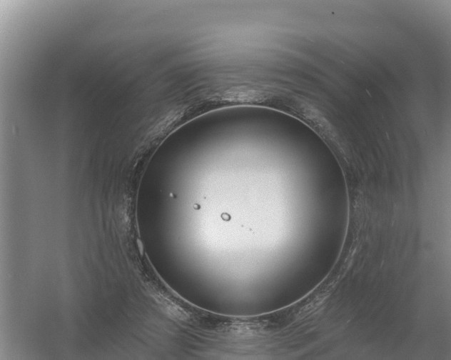 X0000058140305200509302026