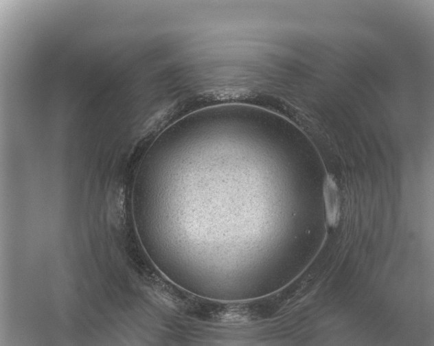 X0000058140308200509302026