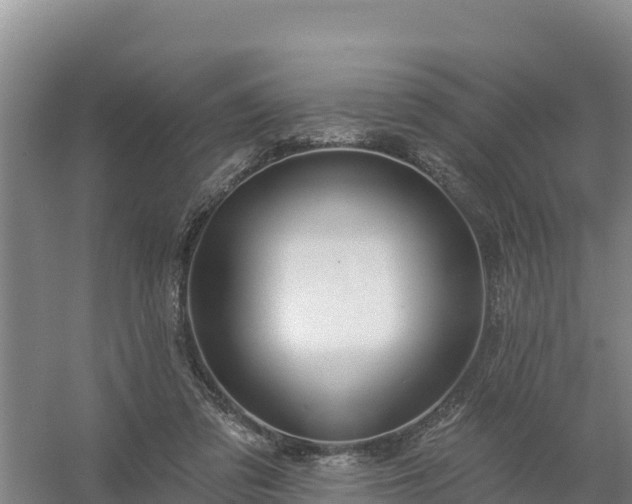 X0000058140309200509302026