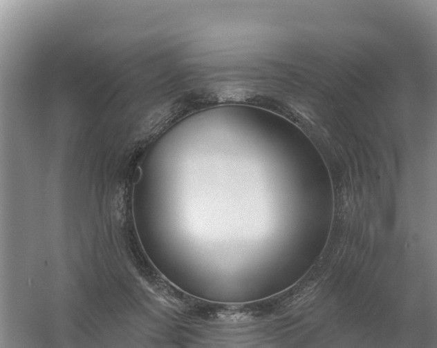 X0000058140311200509302026