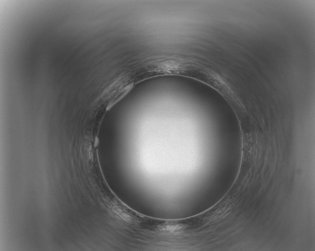 X0000058140313200509302026