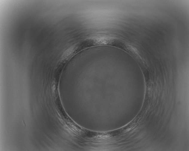 X0000058140314200509302026