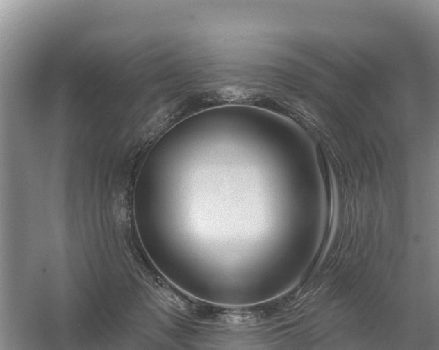 X0000058140317200509302026