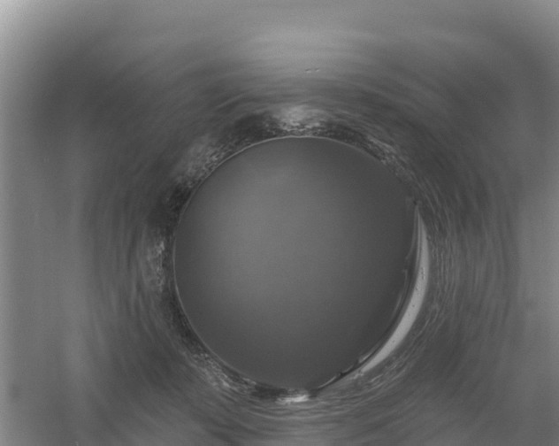 X0000058140319200509302025