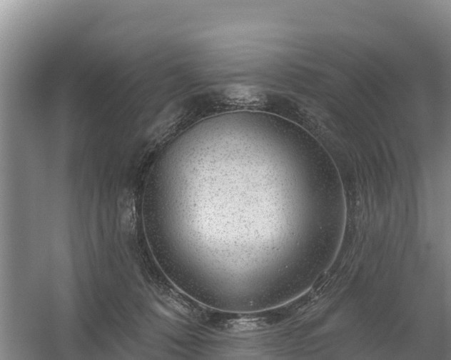 X0000058140320200509302025