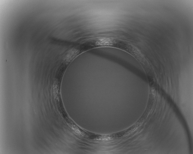 X0000058140322200509302025