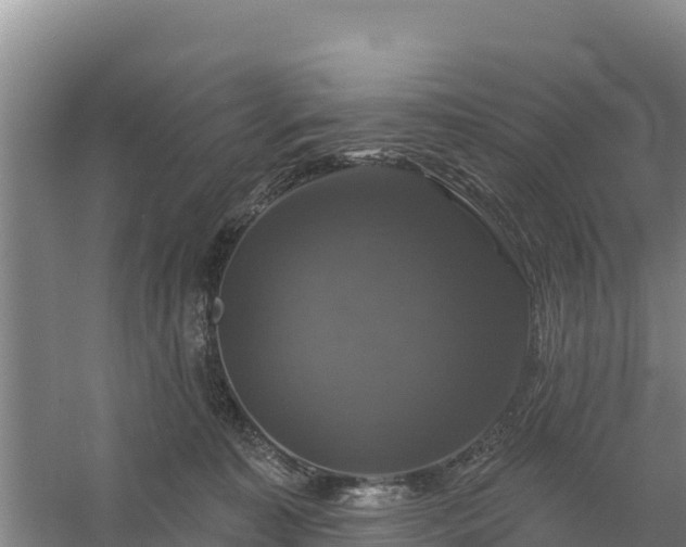 X0000058140323200509302025