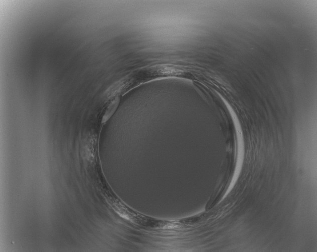 X0000058140325200509302025