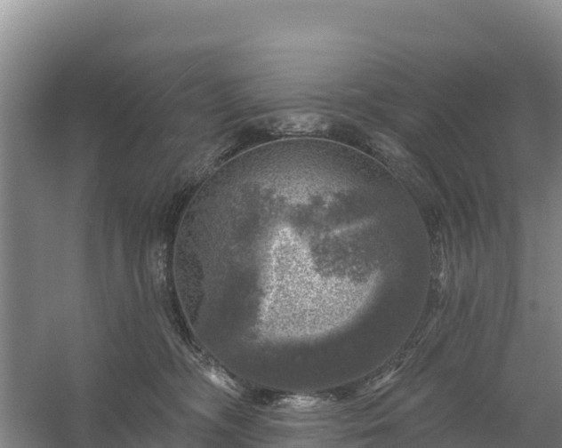 X0000058140326200509302025