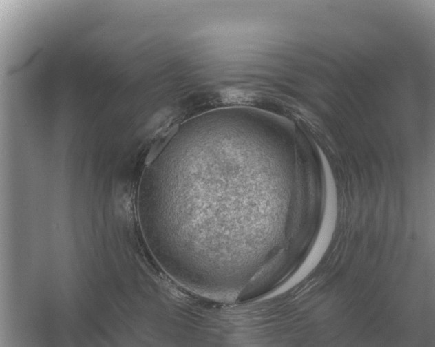 X0000058140329200509302025