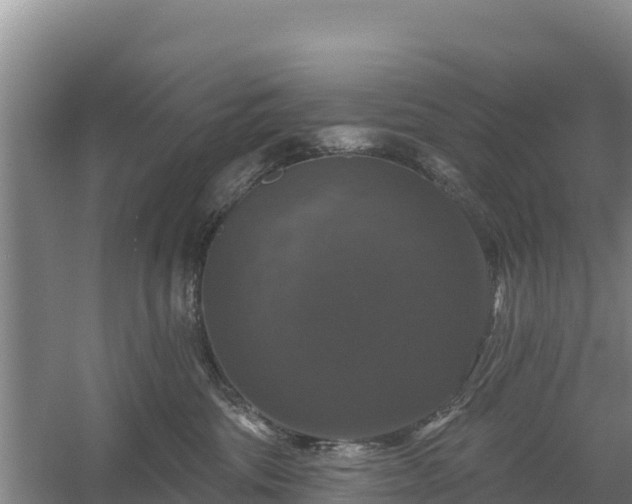 X0000058140330200509302025