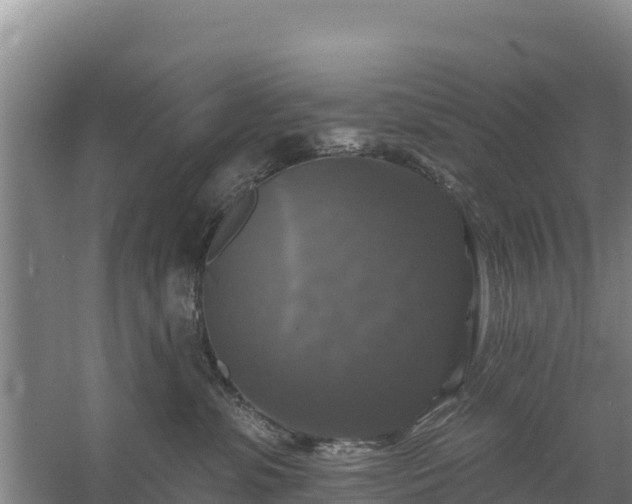 X0000058140331200509302025