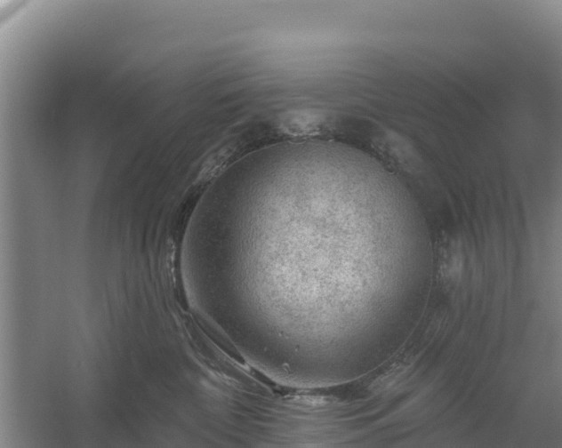 X0000058140332200509302025