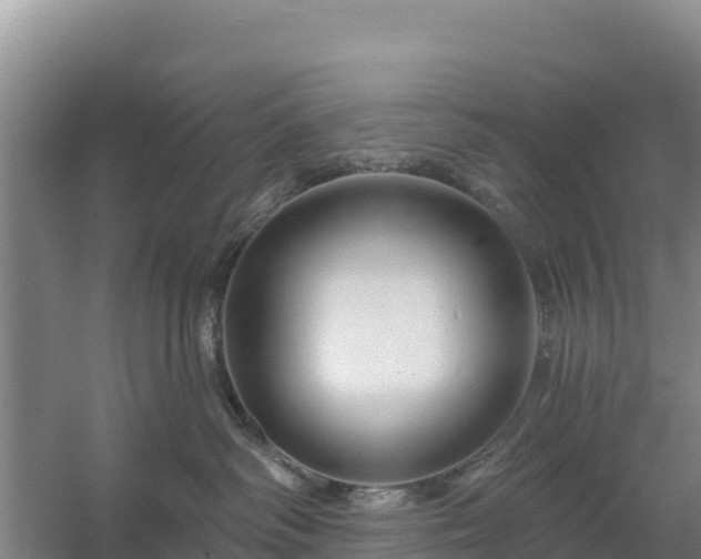 X0000058140334200509302025