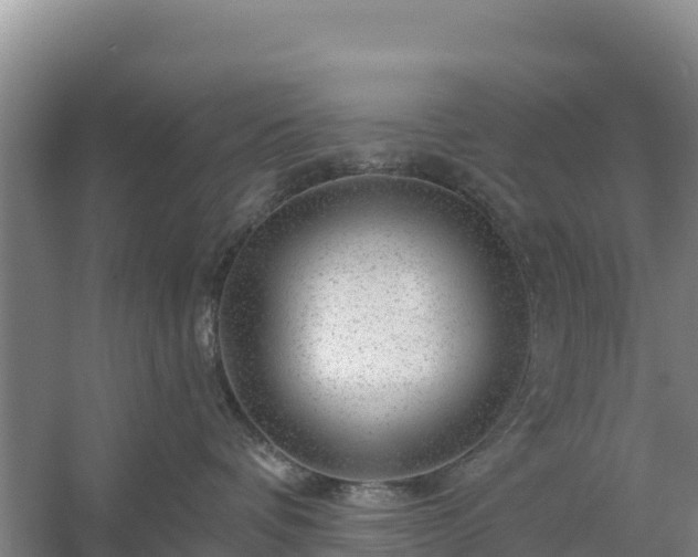 X0000058140336200509302025