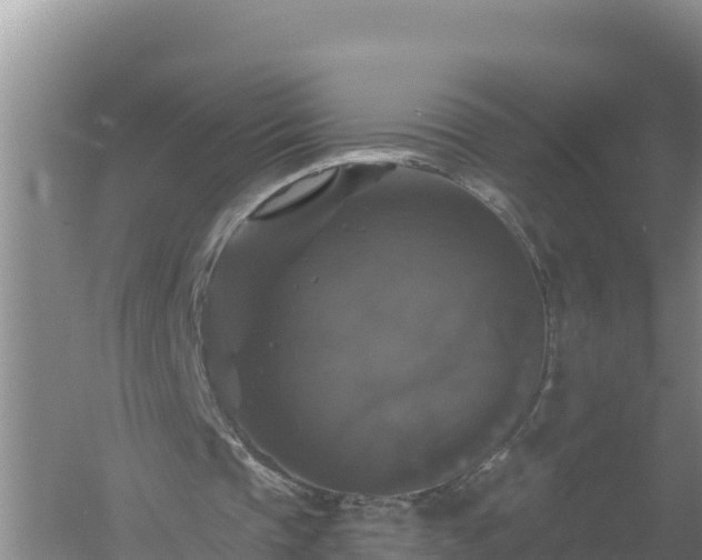 X0000058140337200509302024