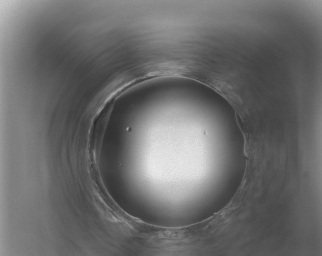 X0000058140338200509302024