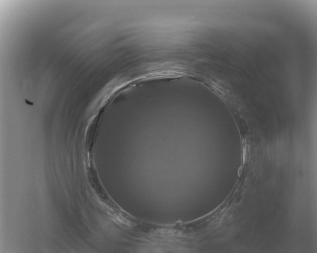 X0000058140339200509302024