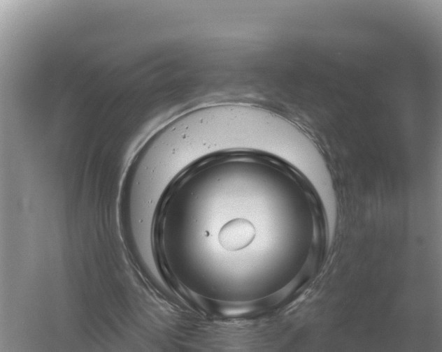 X0000058140340200509302024