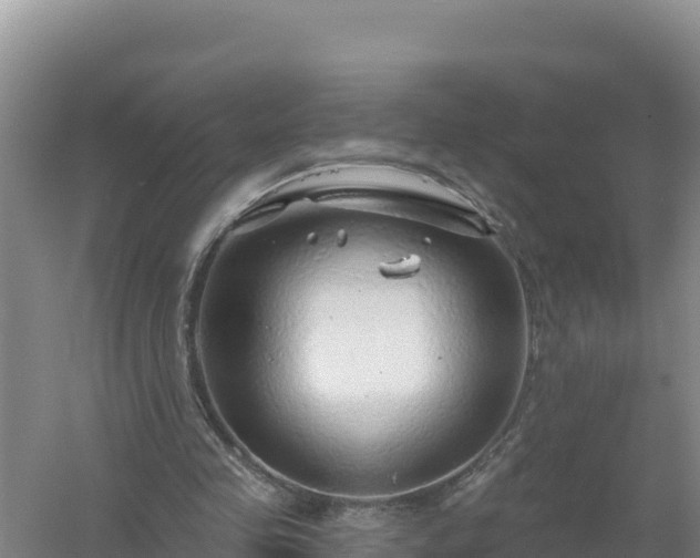 X0000058140341200509302024