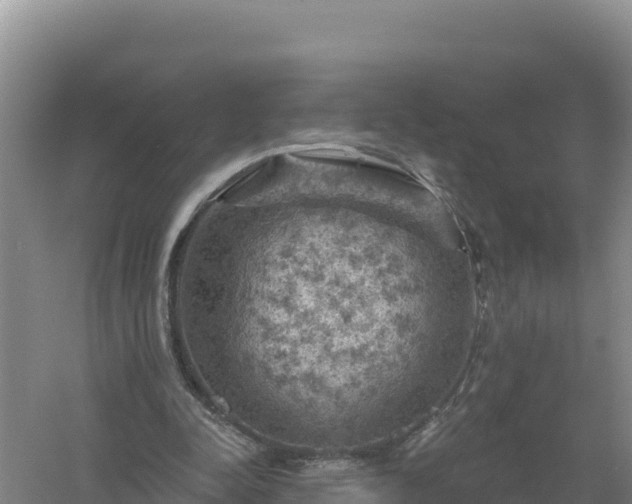 X0000058140342200509302024